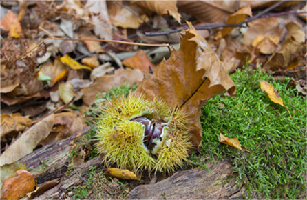 短信验证码轰炸卡盟免费